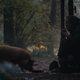 Cage, right, with co-star Brandy The Pig, left.